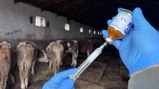 Yeti�tiriciye uyar�! A��lama program� belli oldu, cezas� var