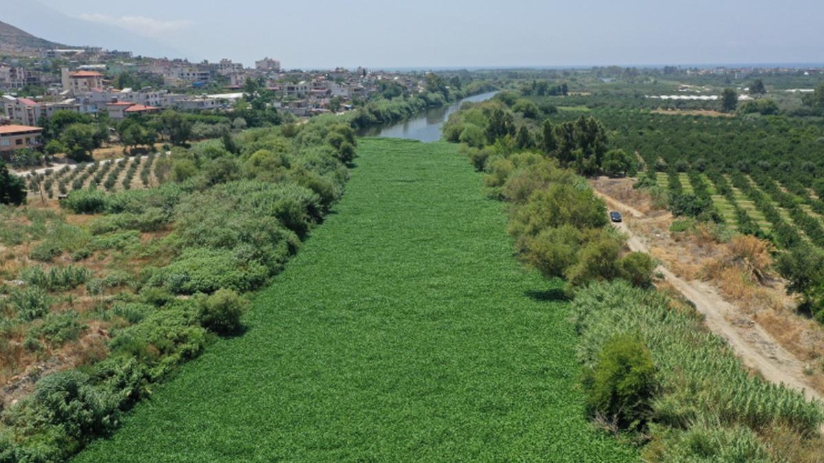 Do�ada 'k�rm�z� liste' d�nemi