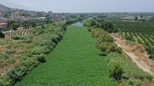 Do�ada 'k�rm�z� liste' d�nemi