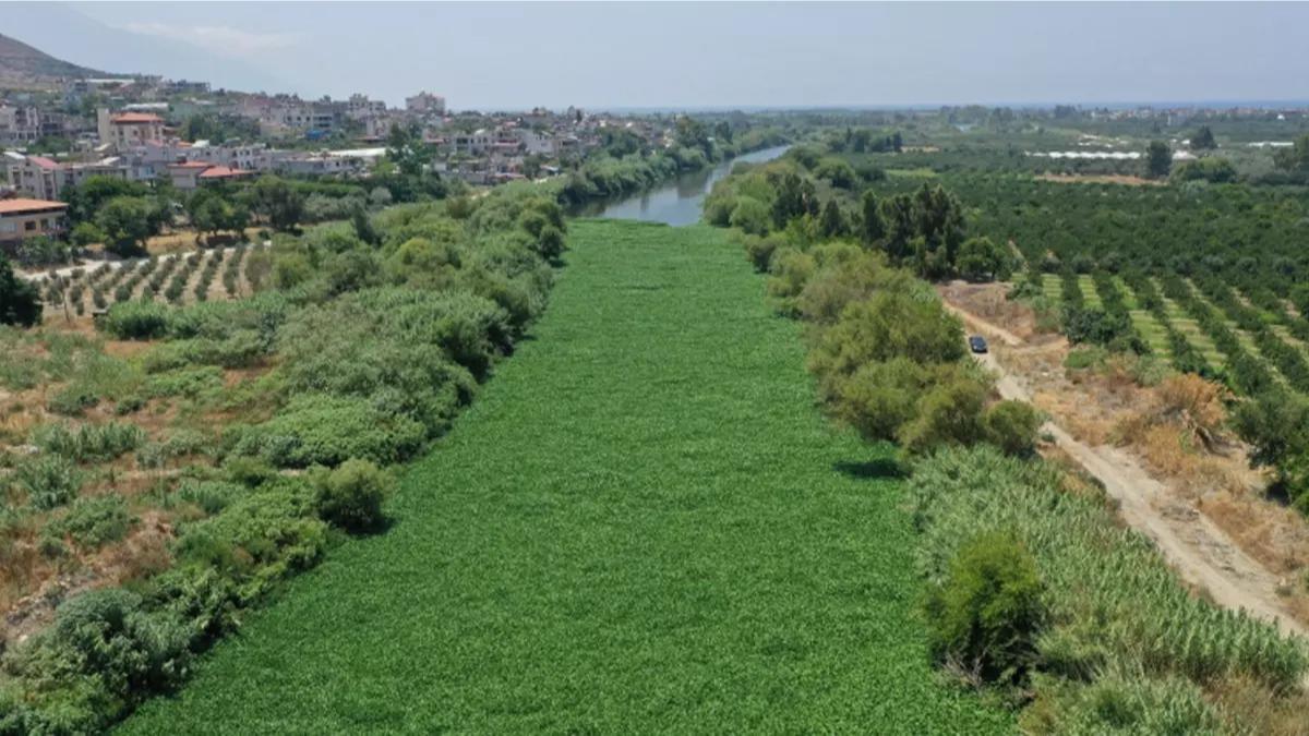 Do�ada 'k�rm�z� liste' d�nemi! �stilac� t�rlerle sava�