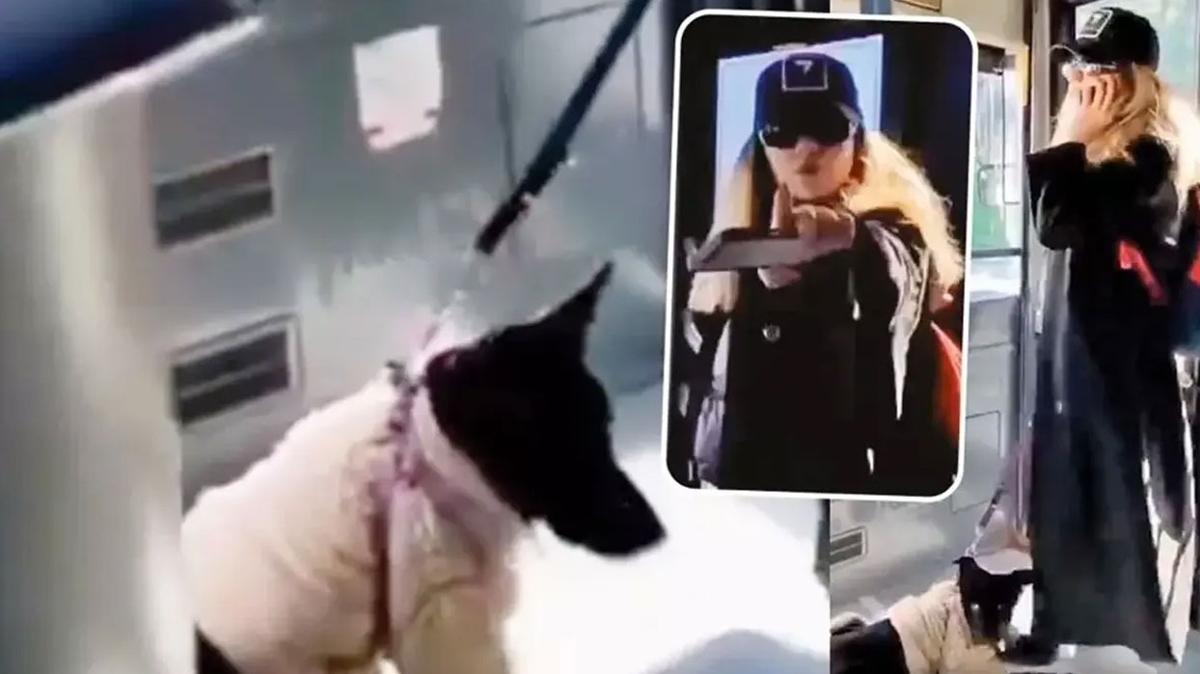 Sahte savc� hakk�nda karar verildi