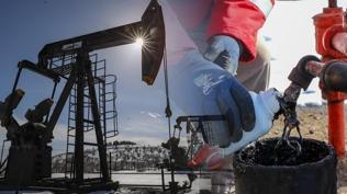 Güneydoğu'daki 4 ilden petrol fışkırıyor