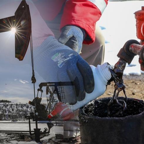 G�neydo�u'daki 4 ilden petrol f��k�r�yor