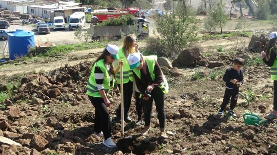 Hatay'da yanan alanlar ye�illeniyor: 5 bin fidan dikildi