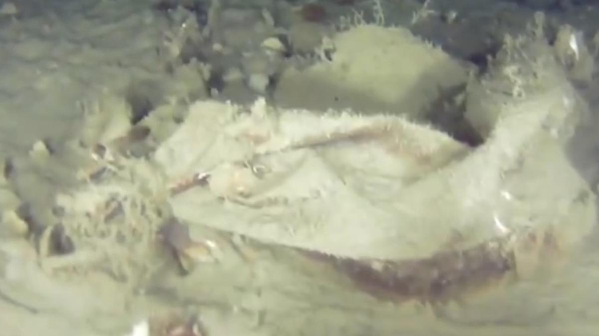 Marmara'n�n derinliklerindeki 51 y�ll�k s�r ��z�l�yor