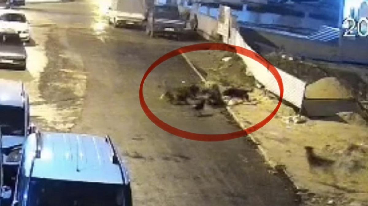 Teravih namaz� d�n��� sokak k�pe�i deh�eti