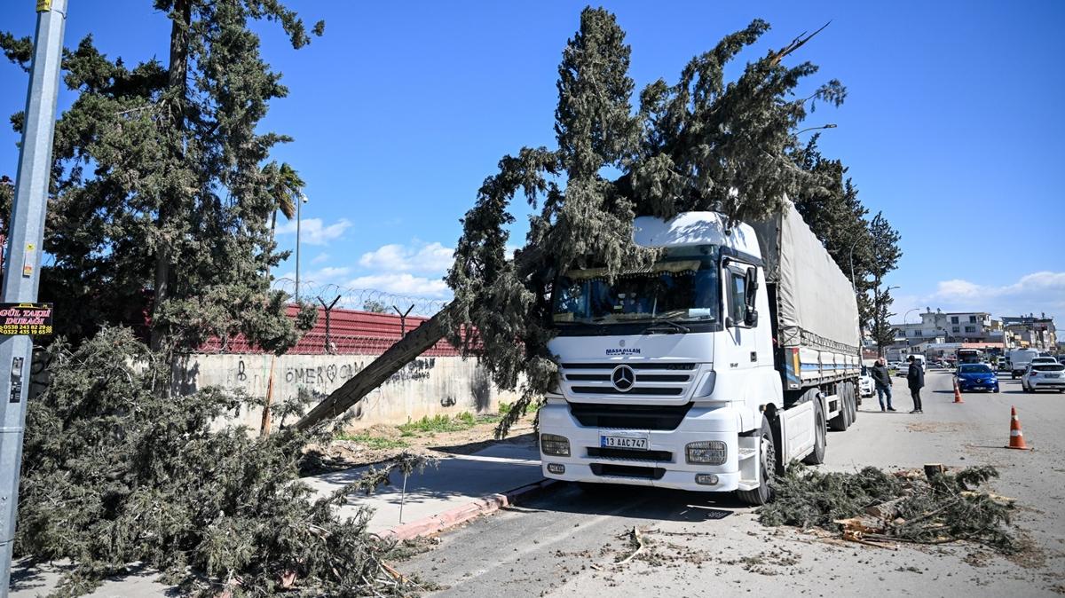 Adana'da kuvvetli rüzgar hayatı felç etti: Ağaçlar devrildi, çatılar uçtu