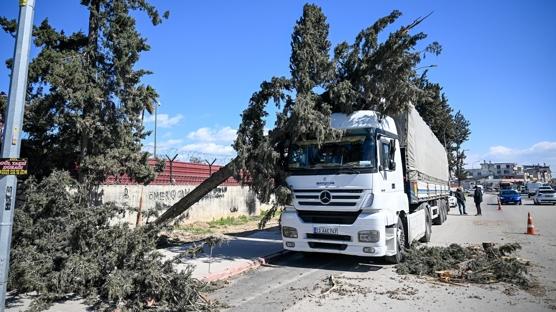 Adana'da kuvvetli r�zgar hayat� fel� etti: A�a�lar devrildi, �at�lar u�tu