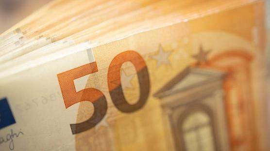 Avro B�lgesi'nde �retici fiyatlar� beklentiyi a�t�