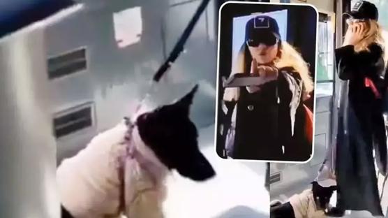 Sahte savc� i�in istenen ceza belli oldu