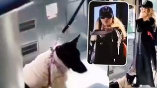 Sahte savc� i�in istenen ceza belli oldu