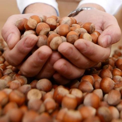 F�nd�k ihracat� 6 ayda 1 milyar 177 milyon dolar kazand�rd�