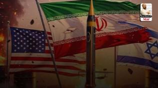 Sava��n anatomisi