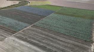 Tar�m arazileri i�in yeni d�zenleme: Resmi Gazete'de yay�mland�