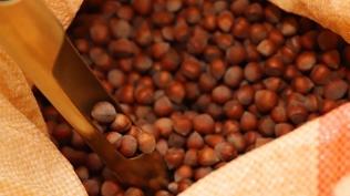 Karadeniz'in alt�n� kazand�rd�: 2 ayda 388 milyon dolar