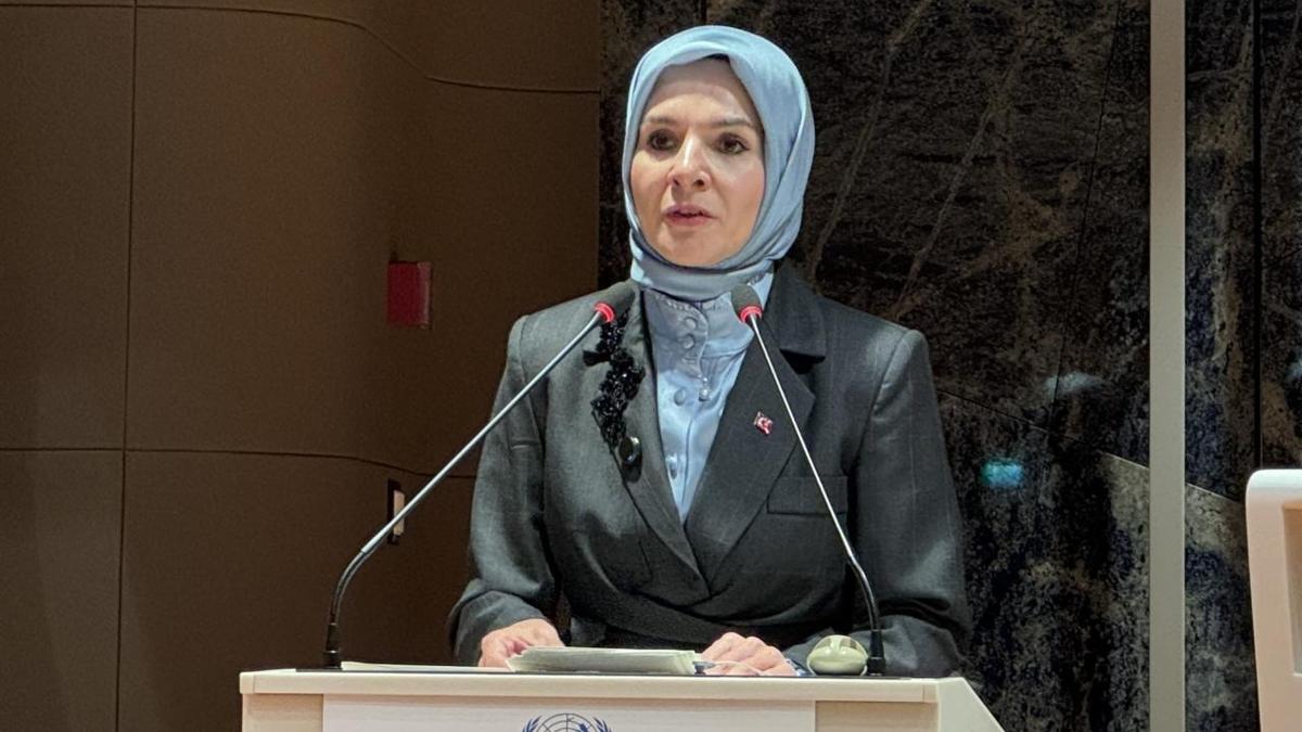 Bakan G�kta�, ABD'de konu�tu: M�zakerelerin ba�lamas�n� destekliyoruz