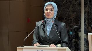 Bakan G�kta�, ABD'de konu�tu: M�zakerelerin ba�lamas�n� destekliyoruz