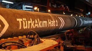 T�rkAk�m'a sald�r� d�zenlendi