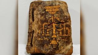 Mu�la'da ka�ak��l�k operasyonu... Deri tevrat ele ge�irildi