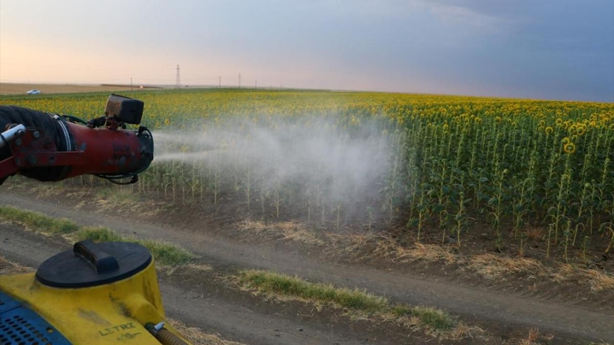 TCDD otla m�cadele hamlesi: Tren yollar�nda ila�lama yap�lacak