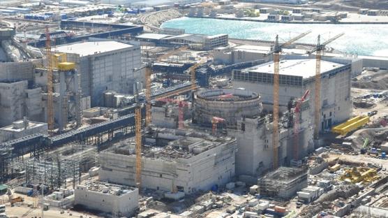 Akkuyu NGS'de kritik montaj