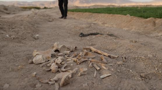 Esed rejiminin askeri karargahı yakınlarında ceset kalıntıları bulundu