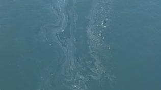 K�rfez'in kirlili�i Fo�a'y� bo�uyor! 'Bal�k yerine �amur �ekiyoruz!' isyan�