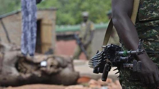 Nijerya'da kaju tarlas� kana buland�: 15 �l�