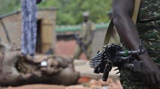 Nijerya'da kaju tarlas� kana buland�: 15 �l�