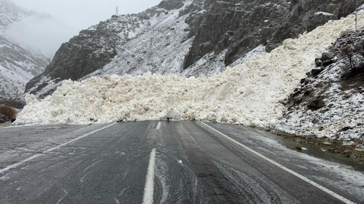 Hakkari-Çukurca kara yolu çığ nedeniyle kapandı