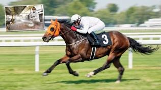 Kavurma olan at�n sahibine ceza kesildi