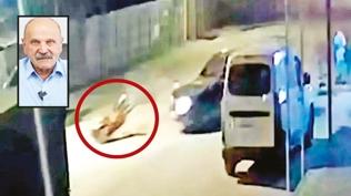 DEM'li ba�kan�n uslanmaz o�lu