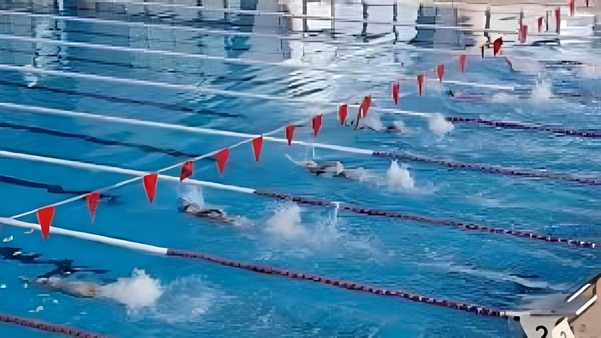 Milli para y�z�c�lerden �talya'da 10 madalya