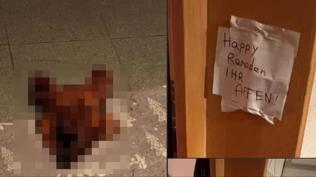 T�rk aileye �slamofobik sald�r�