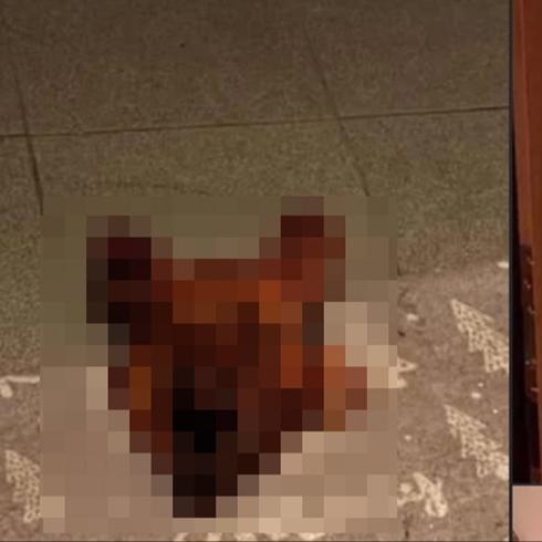 T�rk aileye �slamofobik sald�r�