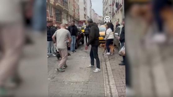 A��zl�ks�z gezdirilen pitbull deh�et sa�t�