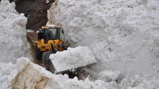 Bitlis'te bir köye çığ düştü: Metrelerce karlı yolda çalışma başlatıldı