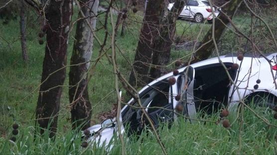 İstanbul'da virajı alamadı, ağaca çarptı: Sürücü araç içerisinde bulunamadı