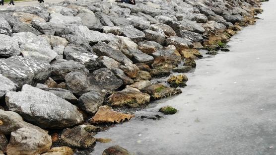 Denizde erkek cesedi bulundu! İstanbul'da şüpheli ölüm