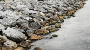 Denizde erkek cesedi bulundu! İstanbul'da şüpheli ölüm