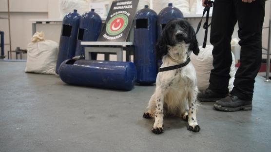 Narkotik k�pekleri g�z a�t�rmad�: LPG tank�nda onlarca kilo uyu�turucu bulundu