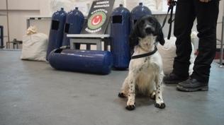 Narkotik k�pekleri g�z a�t�rmad�: LPG tank�nda onlarca kilo uyu�turucu bulundu