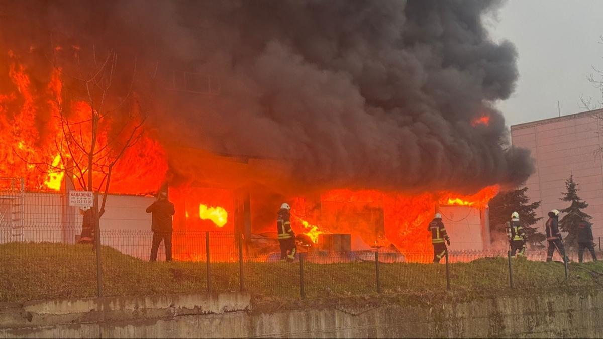 Fındık fabrikasında korkutan yangın