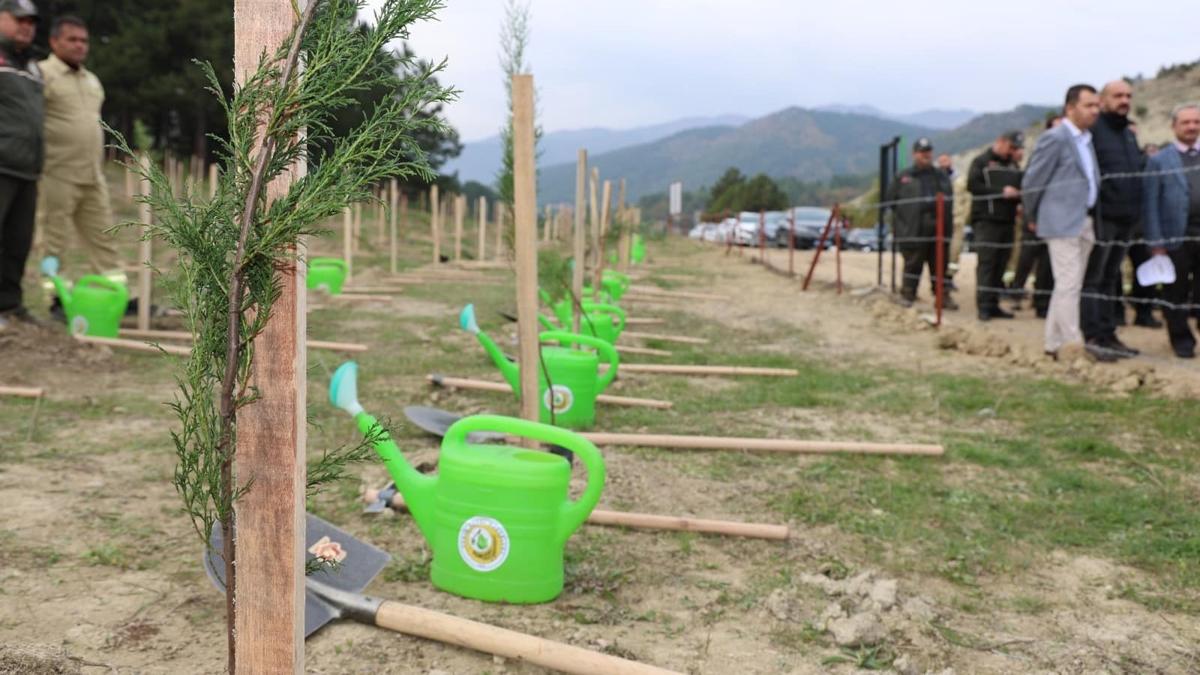 Yanan alanlar ye�illendiriliyor: 2 bin 26 fidan toprakla bulu�tu