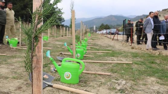 Yanan alanlar ye�illendiriliyor: 2 bin 26 fidan toprakla bulu�tu