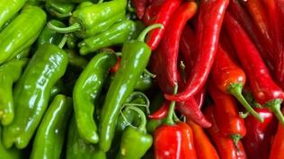 Biber fiyatlar� bakanl��� harekete ge�irdi