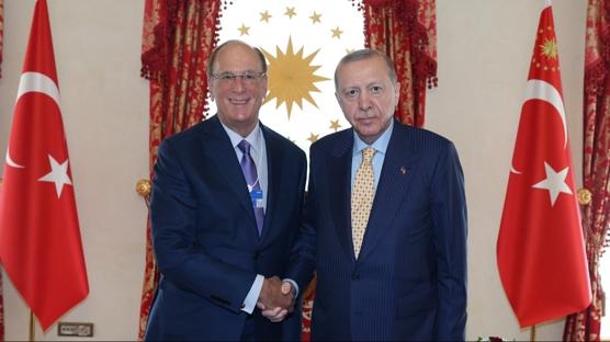 Cumhurba�kan� Erdo�an, WEF Ba�kan� Fink'i kabul etti