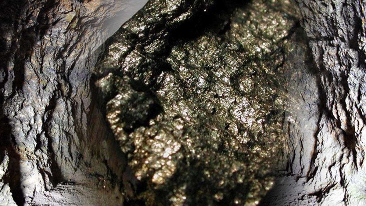 T�rkiye'den vazge�ilmez NTE i�in hamle