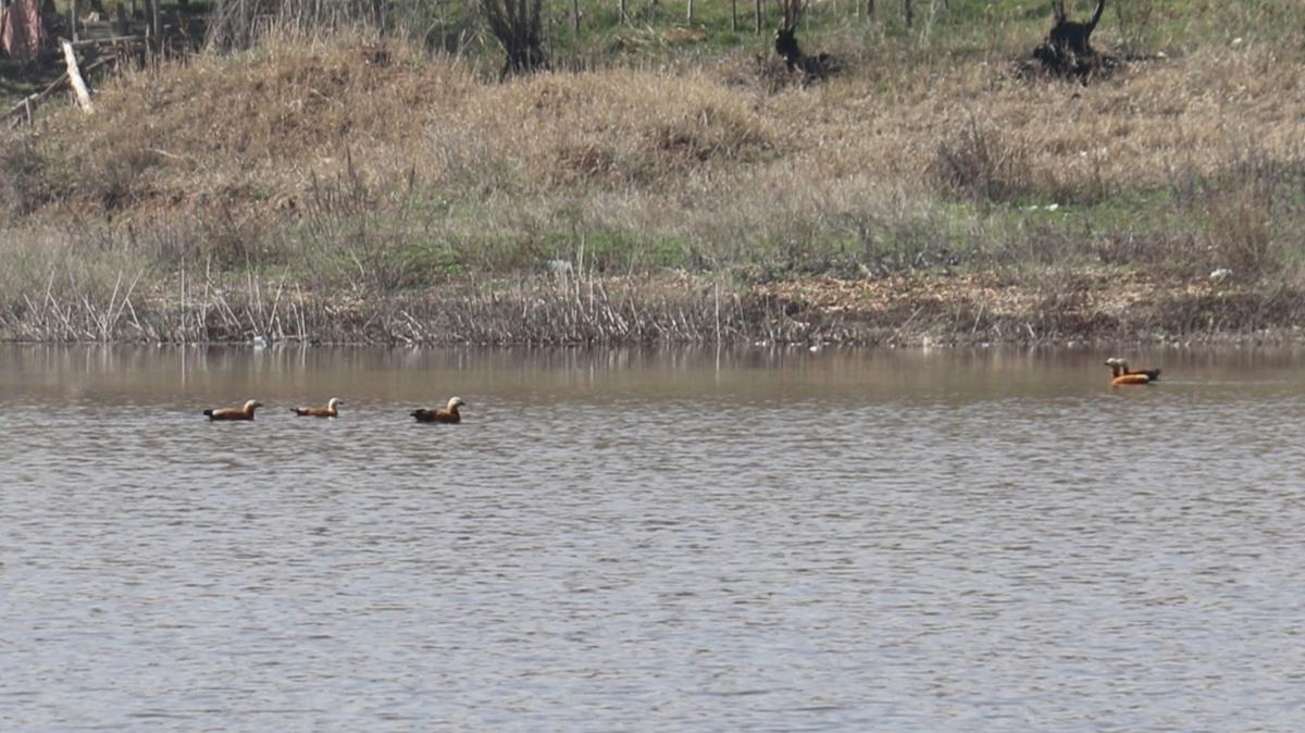 Ya���lar K�z�lca g�letine can suyu oldu