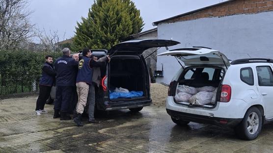 Silivri'de yüzlerce kilo at eti ele geçirildi